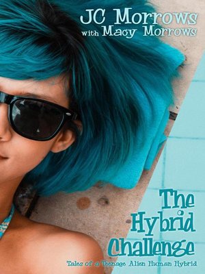 cover image of The Hybrid Challenge